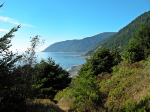 Shelter Cove to Horse Mountain Creek