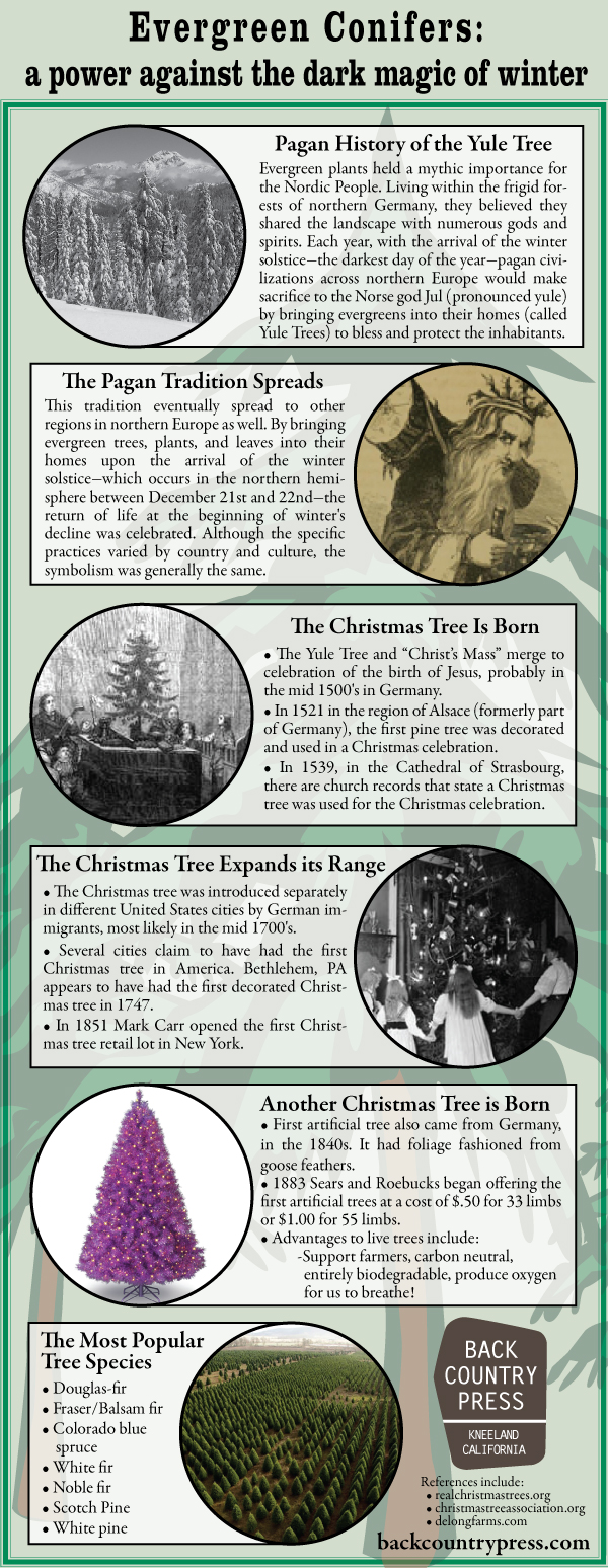 Yule Tree History