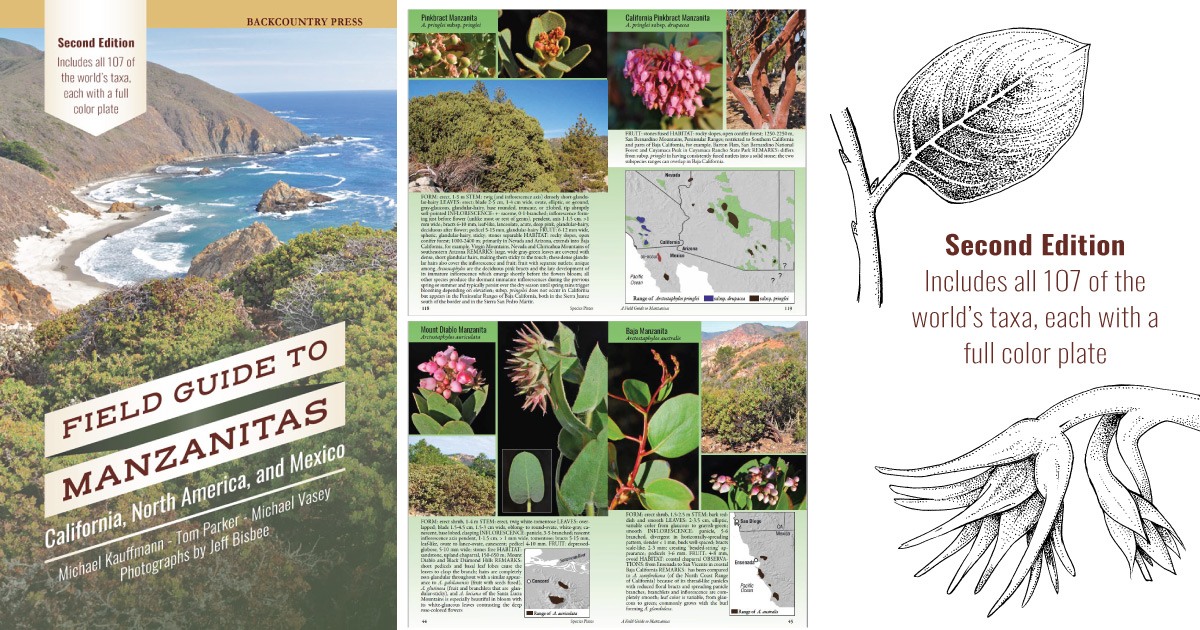 Field Guide to Manzanitas · Backcountry Press
