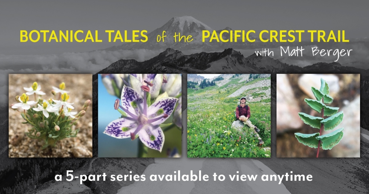 Botanical Tales of the Pacific Crest Trail