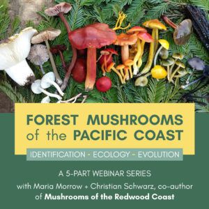 Forest Mushrooms of the Pacific Coast