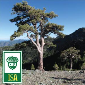 ISA CEU's for Arborists