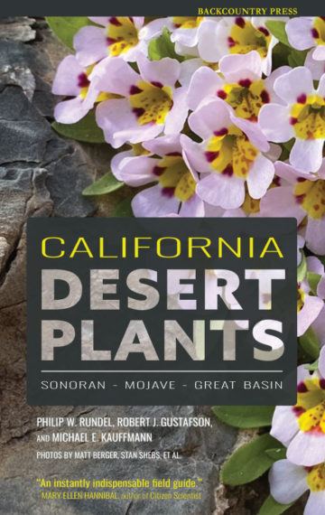 California Desert Plants