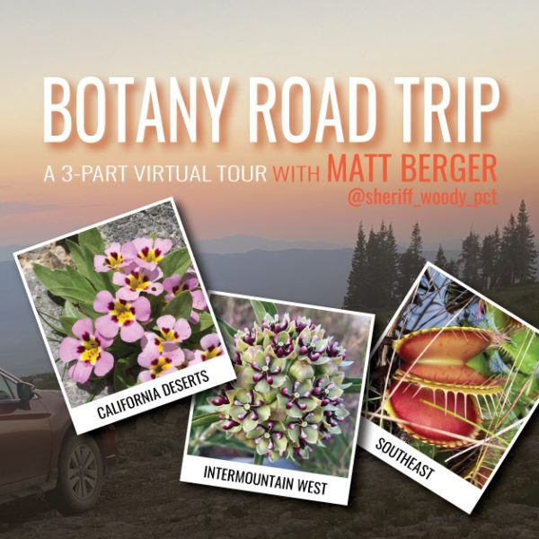 Botany Road Trip