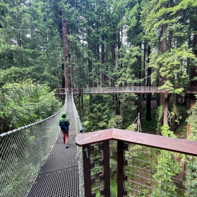 Sequoia Park and the Skywalk