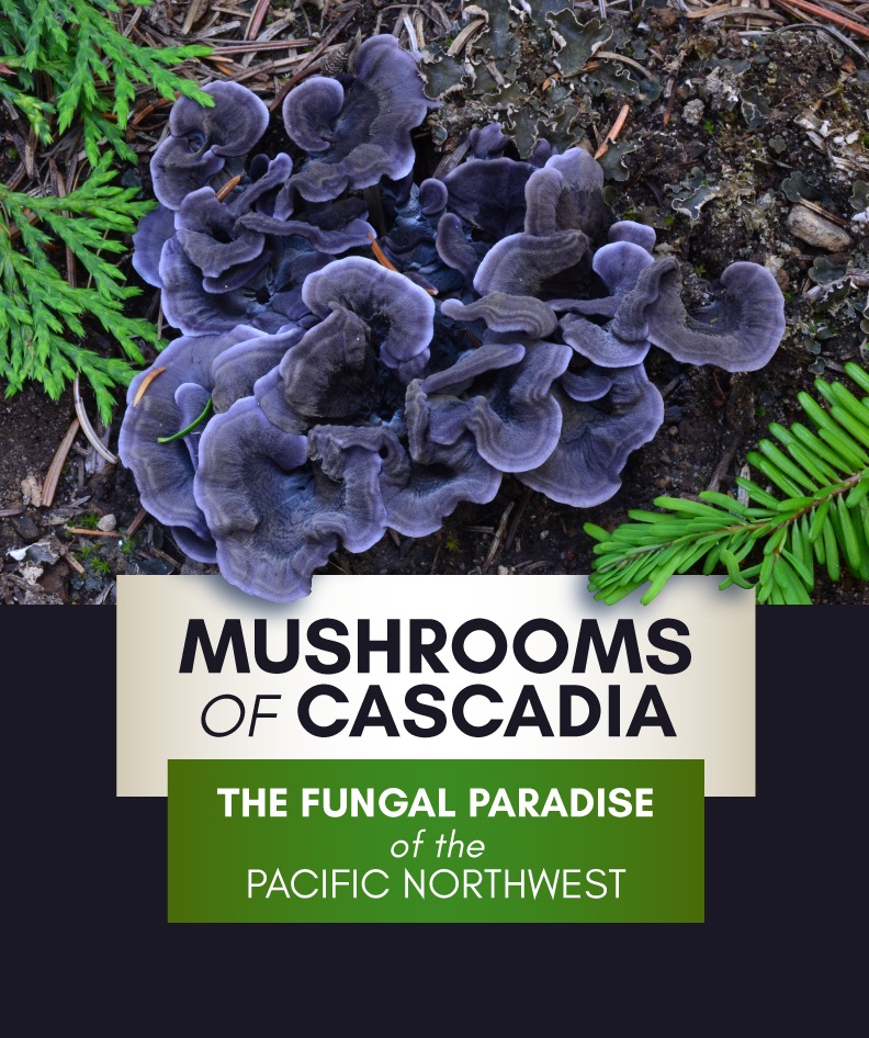 Mushrooms of Cascadia class