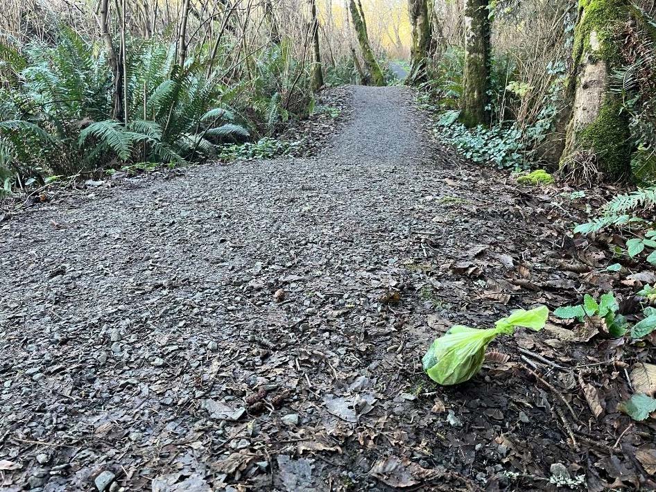 Humboldt County's Dog Poop Problem