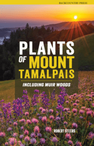 Plants of Mount Tamalpais