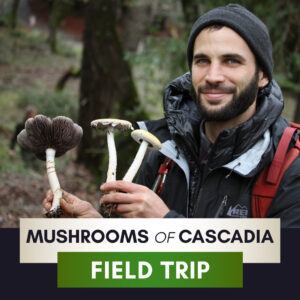Mushroom Field Trip