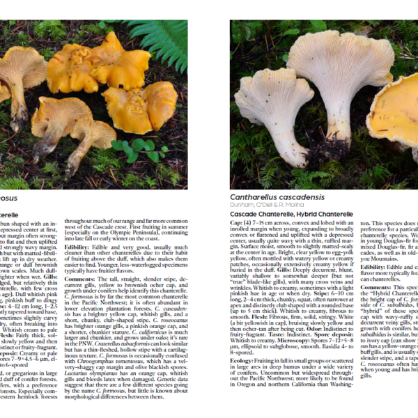 Mushrooms of Cascadia (book)