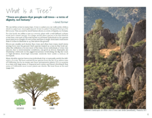 California Trees - what is a tree?