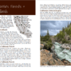 California Trees - landscapes