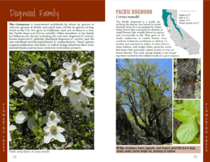 California Trees - dogwood