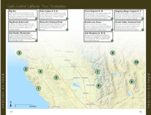 California Trees - destinations