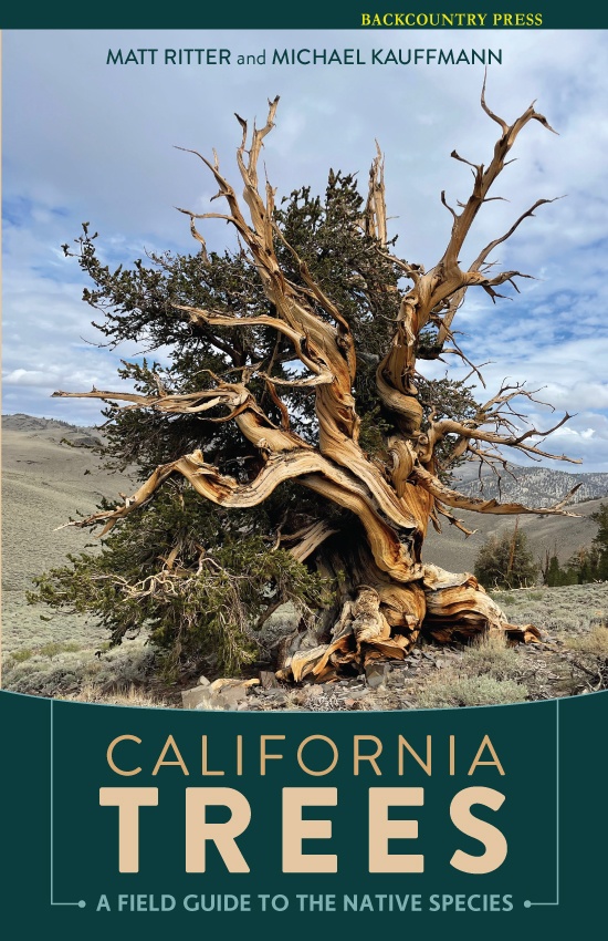 California Trees by Matt Ritter and Michael Kauffmann