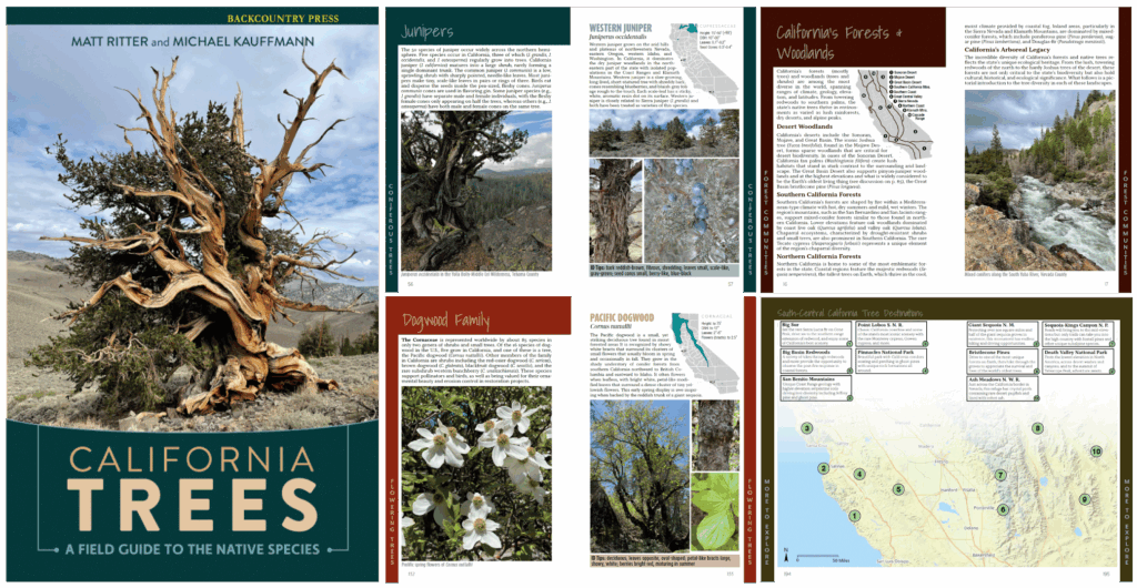 California Trees