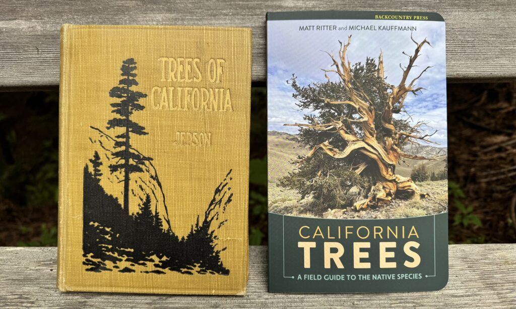 California Trees by Ritter and Kauffmann and Trees of California by Jepson