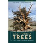 The Backcountry Beat California Trees podcast