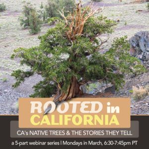 Rooted In California